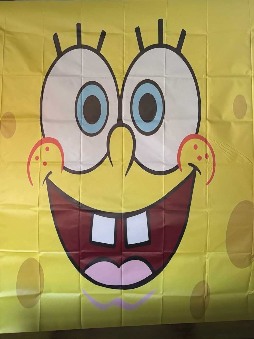 Spongebob Backdrop - Picture 7 of 8